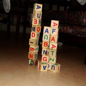 Juego de construcción creativo